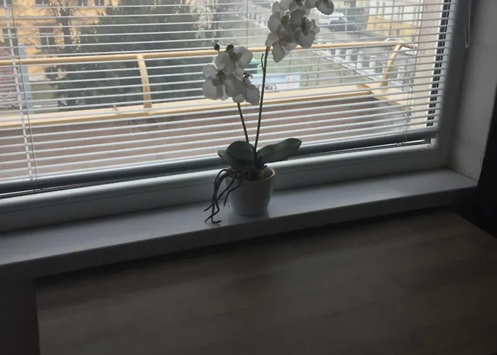 Old Town And Sightseeing *